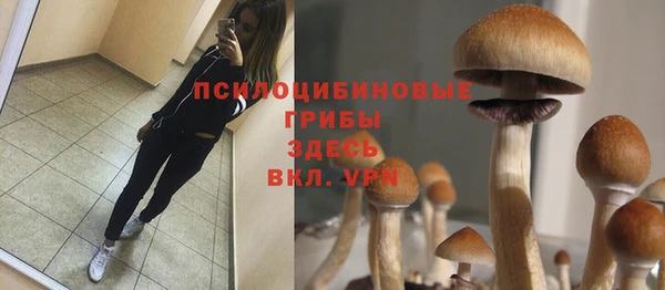 марки lsd Остров