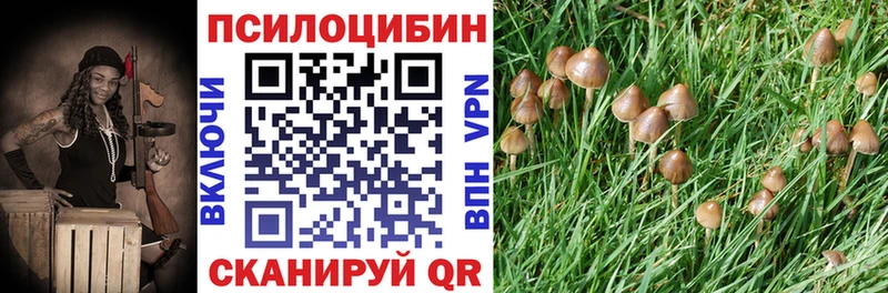 Псилоцибиновые грибы ЛСД  Ставрополь 