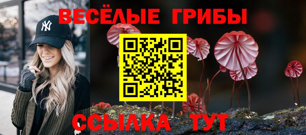 Псилоцибиновые грибы Psilocybine cubensis  Ставрополь  Галлюциногенные грибы прущие грибы 